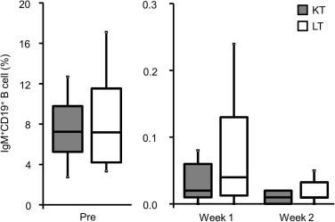 376x249 Different Sensitivity Of Rituximab Treatment To B Cells Between