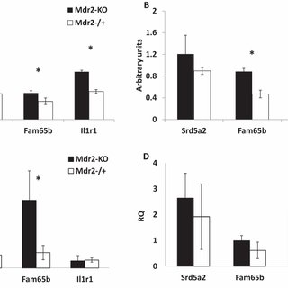 320x320 methylation and expression of selected genes in liver cell