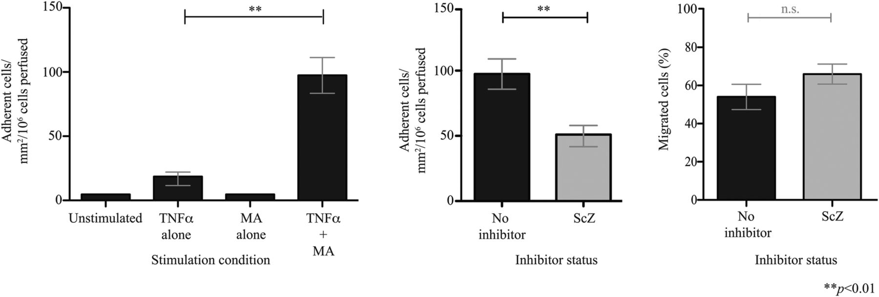 1800x609 Vascular Adhesion Protein Is Elevated In Primary Sclerosing
