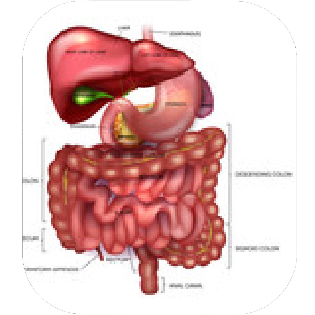 1200x1200 Designs Mein Mousepad Design Mousepad Selbst Designen