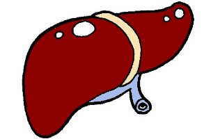 303x200 Liver Cancer Characteristics Botanical Online