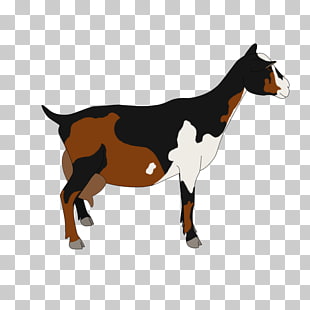 310x310 nigerian dwarf goat pygmy goat cattle drawing caprinae, dwarf png