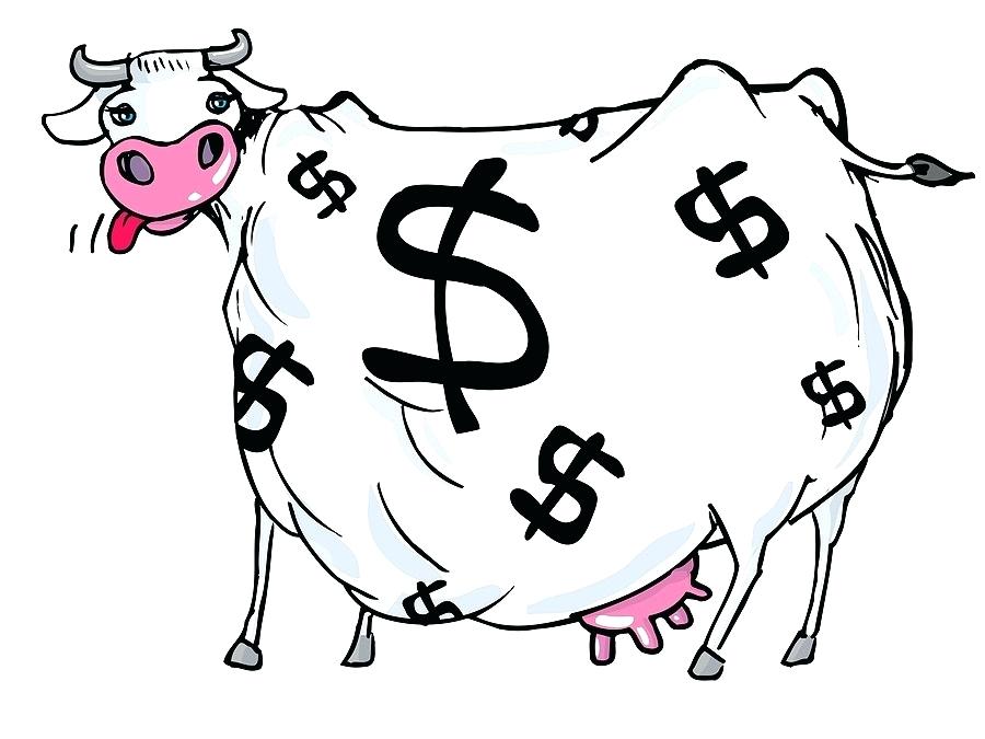 900x675 Cartoon Cow Drawing Zupa