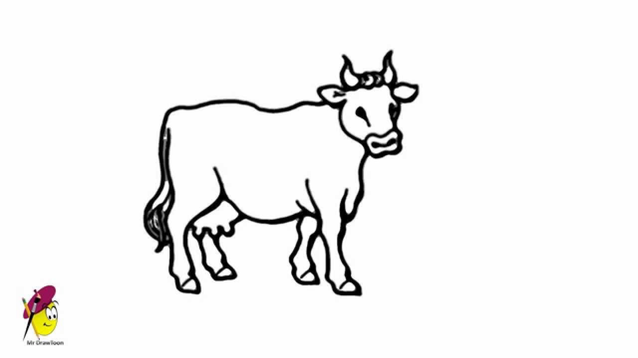 1280x720 Cow