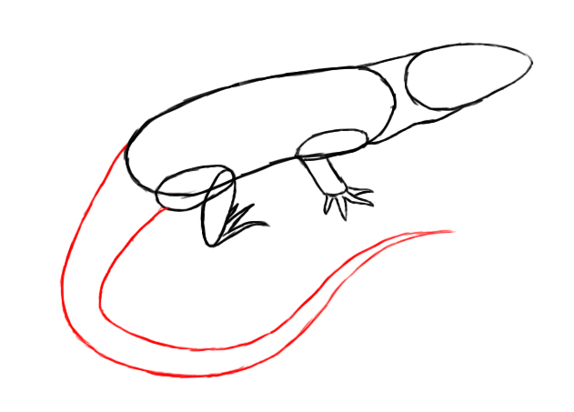 631x453 How To Draw A Lizard