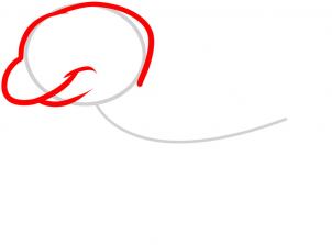 302x223 How To Draw How To Draw A Lizard For Kids