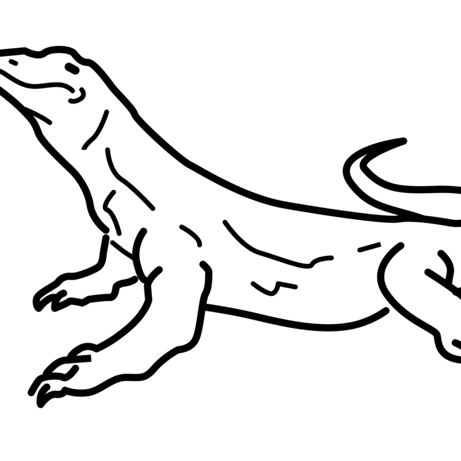 900x900 Lizard, Drawing, Dragon, Transparent Png Image Clipart Free Download
