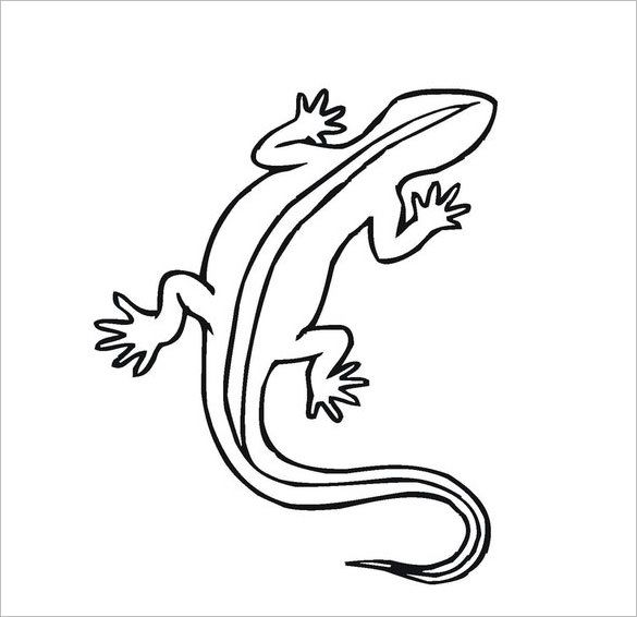Lizard Drawing For Kids