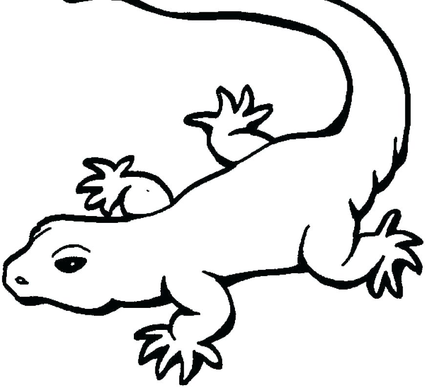 870x800 Gecko Logo Vector Icon Template Drawing
