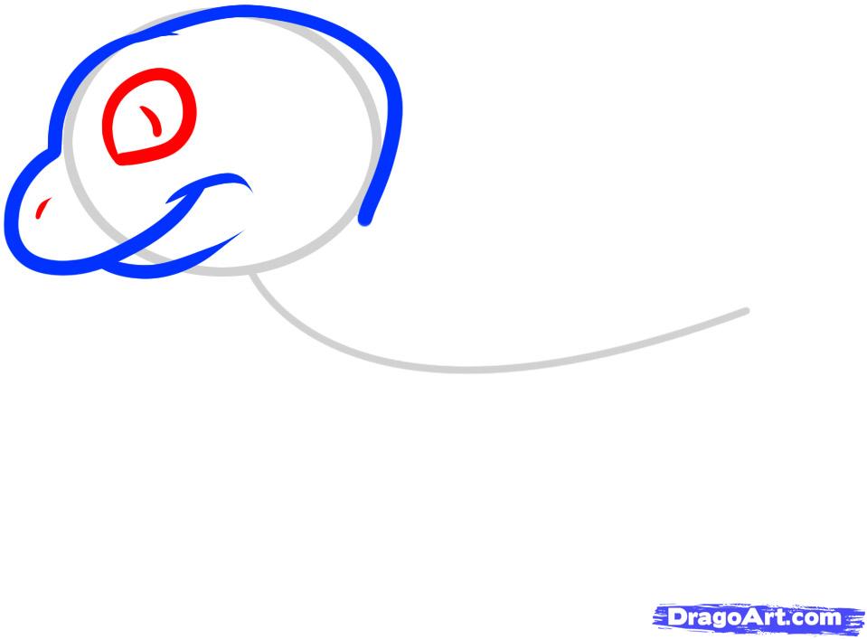959x707 How To Draw A Lizard For Kids, Step