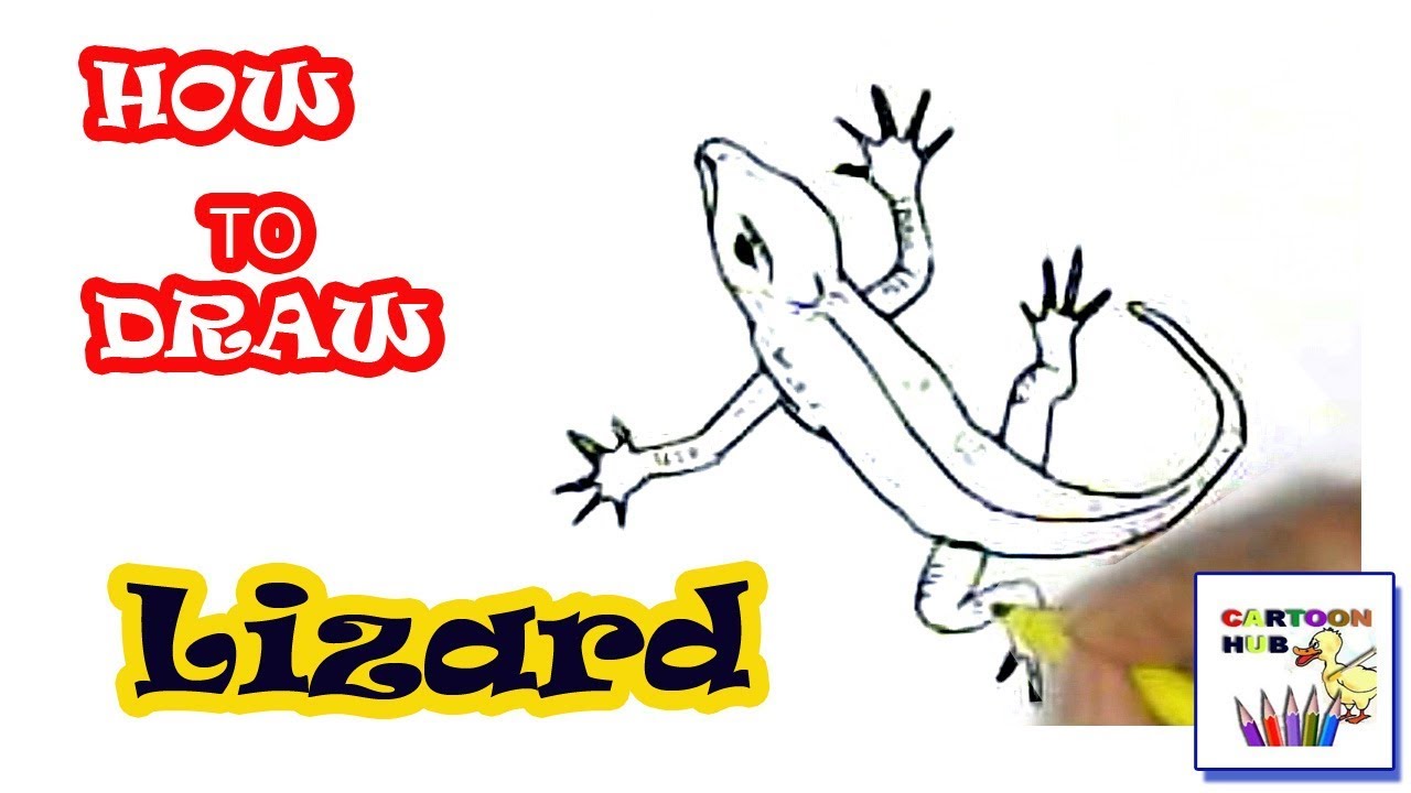 1280x720 How To Draw Lizard In Easy St Step