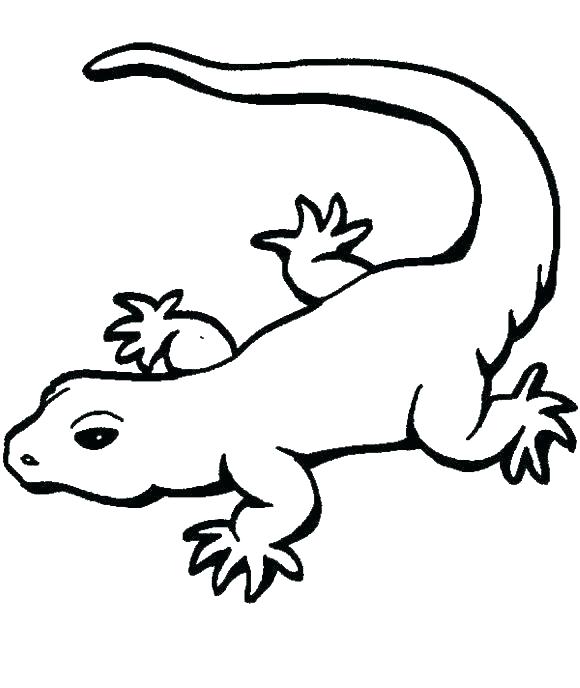 580x688 Lizard Coloring Pages Free Printable