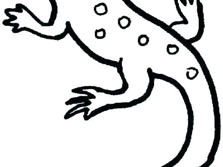 440x330 Coloring Pages For Adults Easy Boys Free Photos Lizard Outline