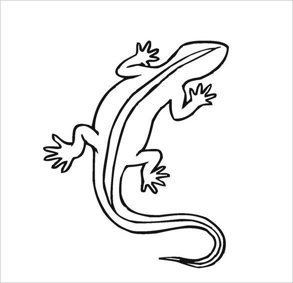 585x566 Reptiles Drawing Outline For Free Download