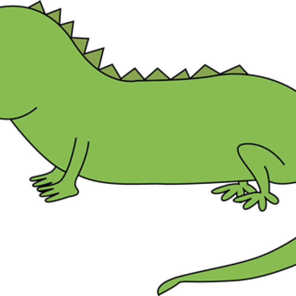 1024x1024 Iguana Clipart Outline For Free Download And Use In Presentations