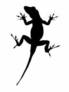 236x314 Lizard Drawing Outline Images About Lizards