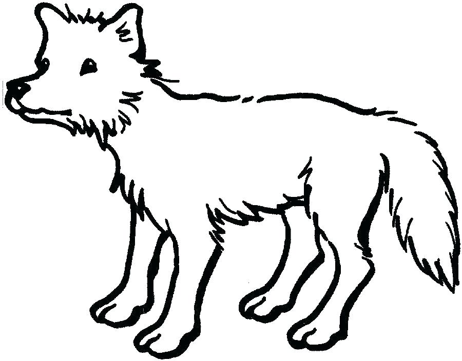 900x704 Animals Drawing Outline Animal Coloring Pages Drawing Animals