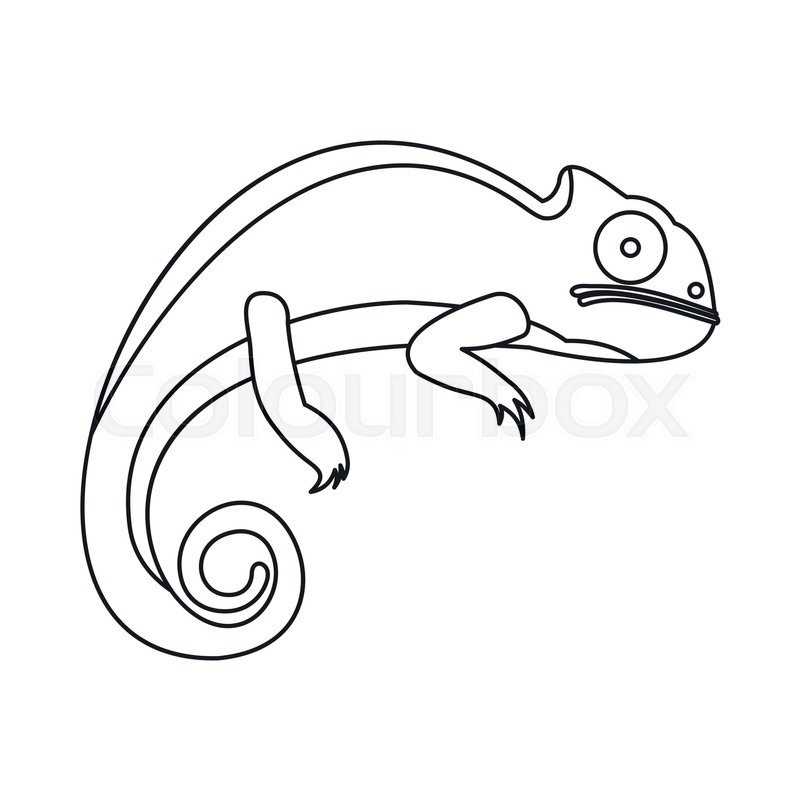 800x800 Chameleon Icon In Outline Style Stock Vector Colourbox