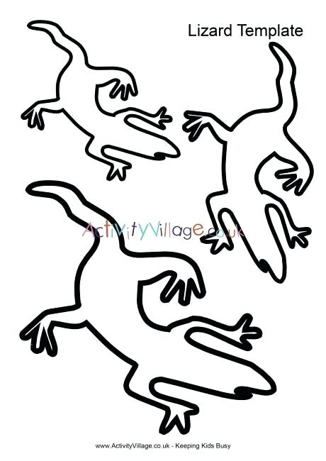 460x650 Explore Activity Village A Templates Lizard Drawing Template C