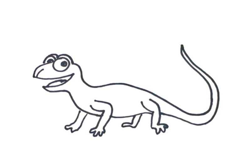 800x480 How To Draw A Lizard