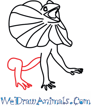 300x350 How To Draw A Frilled Lizard