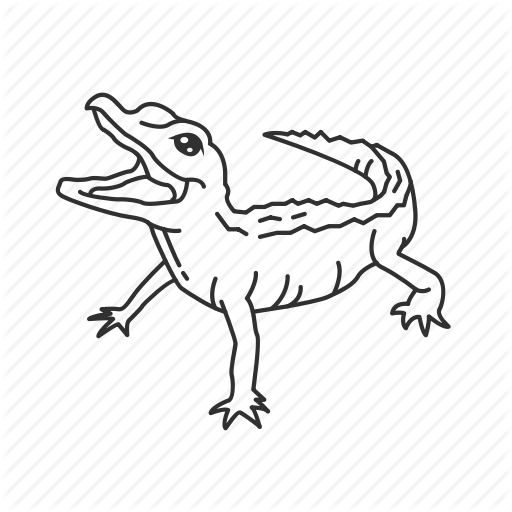 512x512 Lizard, Drawing, Sketch, Transparent Png Image Clipart Free Download