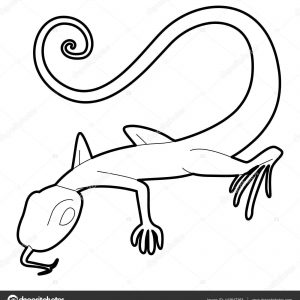 300x300 Best Lizard Drawing