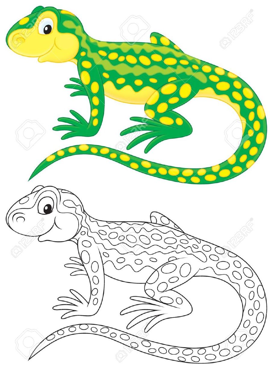 900x1228 Download Dibujo De Un Lagarto Clipart Lizard Drawing Lizard