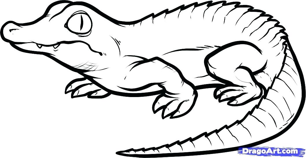 1059x547 How To Draw A Reptile Image Titled Draw A Lizard Step Draw