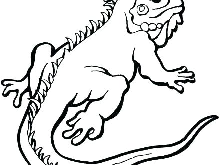440x330 lizard coloring pages lizard coloring pages preschool lizard
