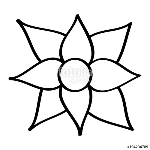 500x500 Lizard Line Drawing