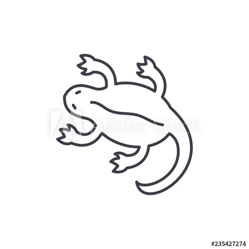500x500 lizard line icon concept lizard vector linear illustration, sign