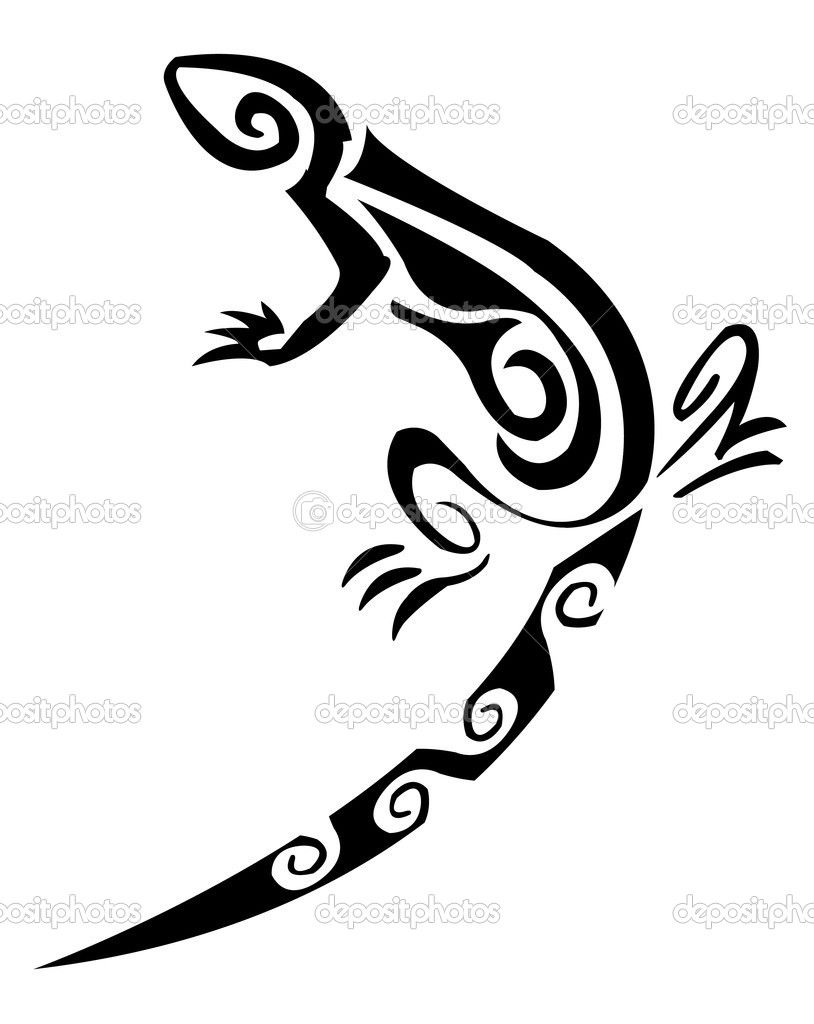 814x1024 Lizard Outline Lizards Uromastyx Sp Tony Snow Results