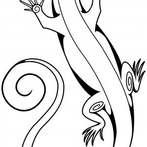 300x300 Best Lizard Drawing