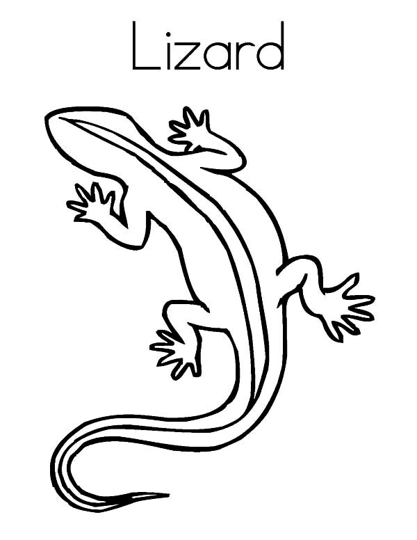 600x776 Ceiling Lizard Coloring Pages Cone Crusher Club