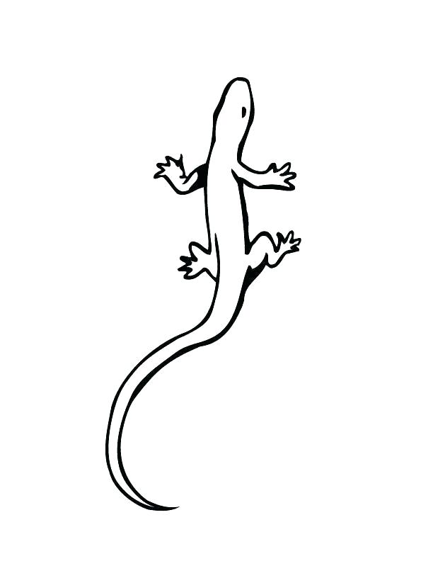 612x792 Coloring Pages Of Lizard