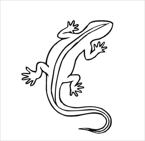 585x566 Lizard Templates, Crafts Colouring Pages Free Premium