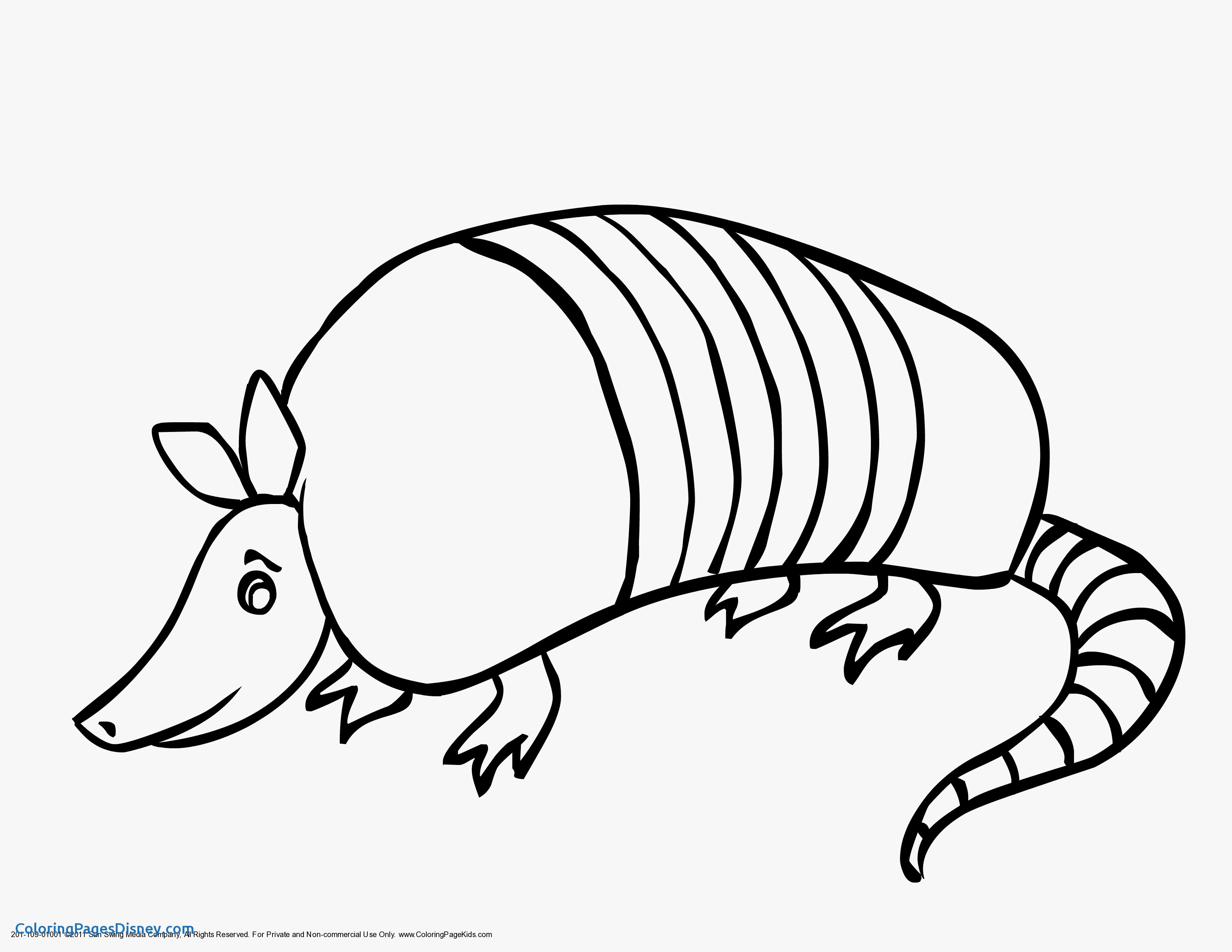 3300x2550 Pink Fairy Armadillo Drawing Cute Lizard Directed Of Ideas Cartoon
