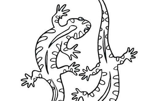 468x329 Sensational Design Coloring