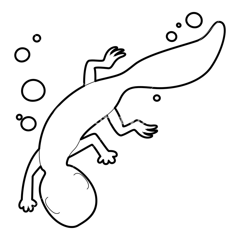 1000x1000 swimming lizard icon outline illustration of swimming lizard