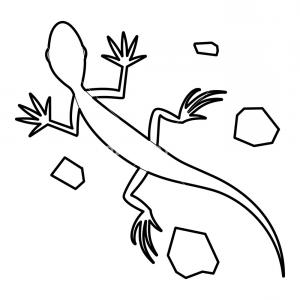 300x300 Vector Drawing Of A Lizard Or Salamander Gm Lazttweet