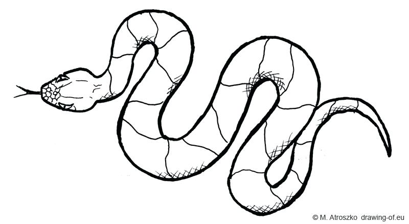 800x438 Draw Snake