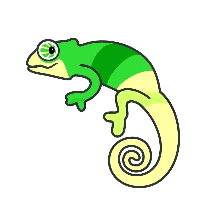 Lizard Outline Drawing | Free download on ClipArtMag