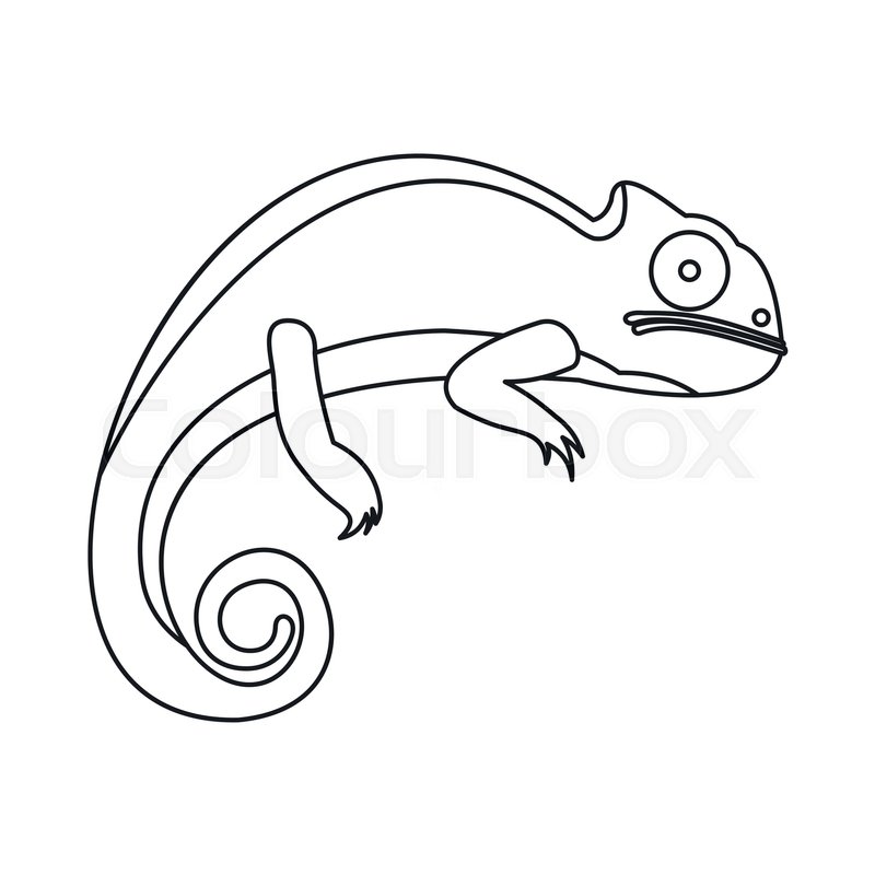 Lizard Outline Drawing | Free download on ClipArtMag