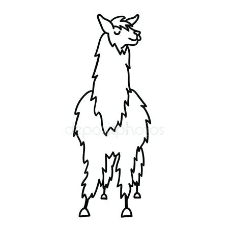 450x450 Drawings Of Llamas Face