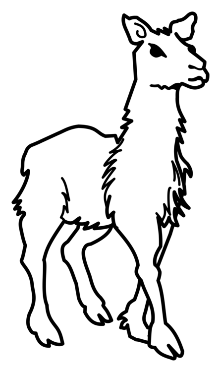 446x750 Llama Alpaca Evolution Drawing Computer Icons Cc0