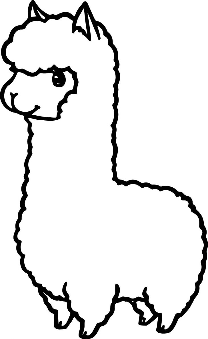 Llama Drawing Easy