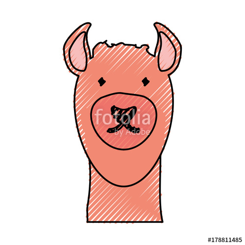 500x500 Flat Line Colored Llama Face Doodle Over White Background Vector
