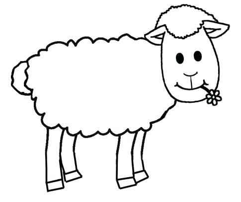 485x407 draw lamb draw lambo