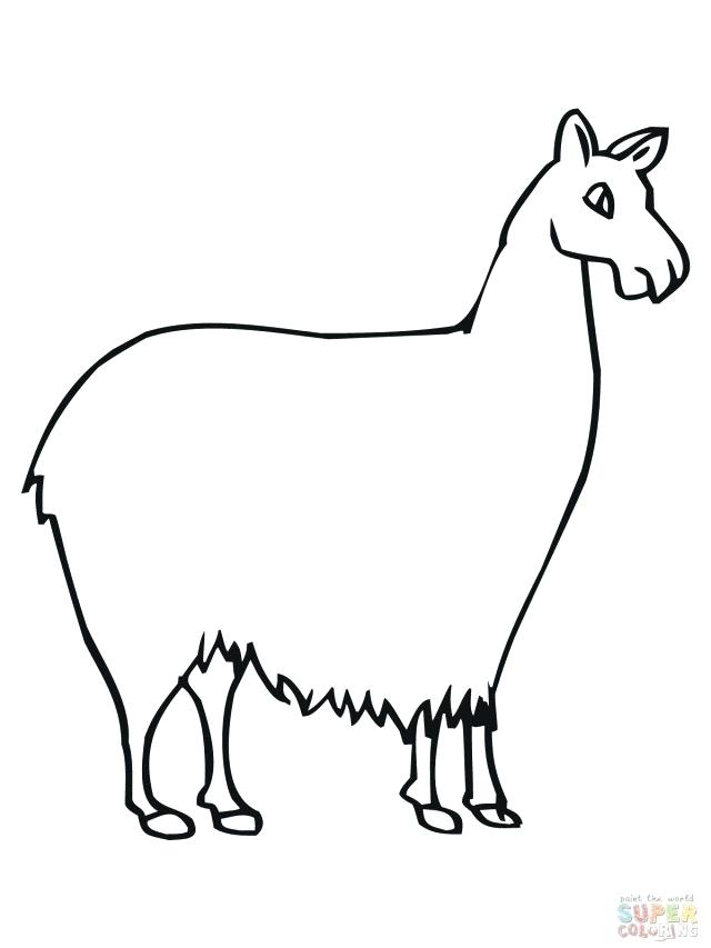 640x853 llama llama coloring pages llama coloring